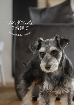 11月の巻頭特集：1