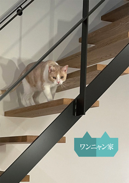 ワンニャン家：2