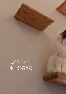 11月の巻頭特集：4