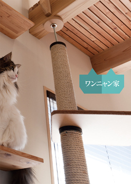 ワンニャン家：4