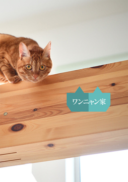 ワンニャン家：6
