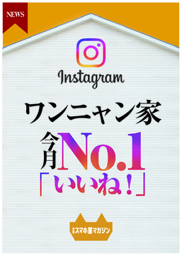 Instagramニュース