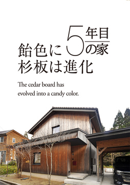 経年進化の家 10：5年目
