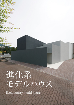 MERISE(長野実例)