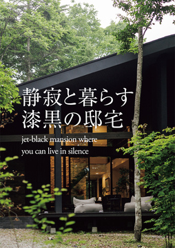 吹き抜け未来 35：49坪