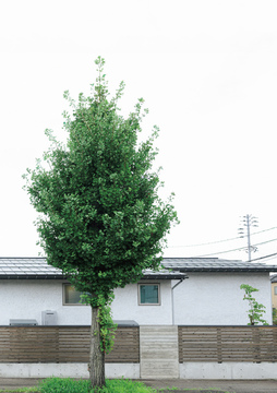 ・・注目7実例を紹介中 53