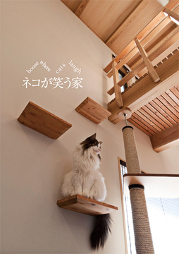 ネコと暮らす家：32坪